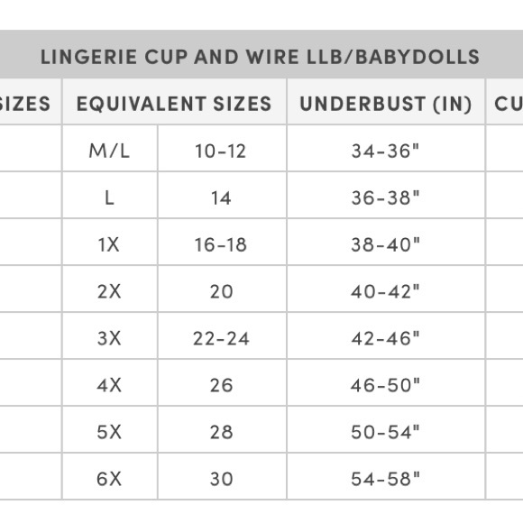 🆕 Satin Ruffle High Rise Thong Panty Set 2 2X 18 20 NWT Torrid New! - Picture 9 of 10